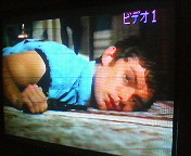 �^�钆�̃T�o�i