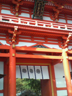 ���{�_�Ђ�