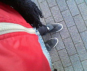 ���͂悤�������܂�