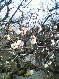 ���x�e��