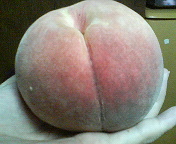 �K